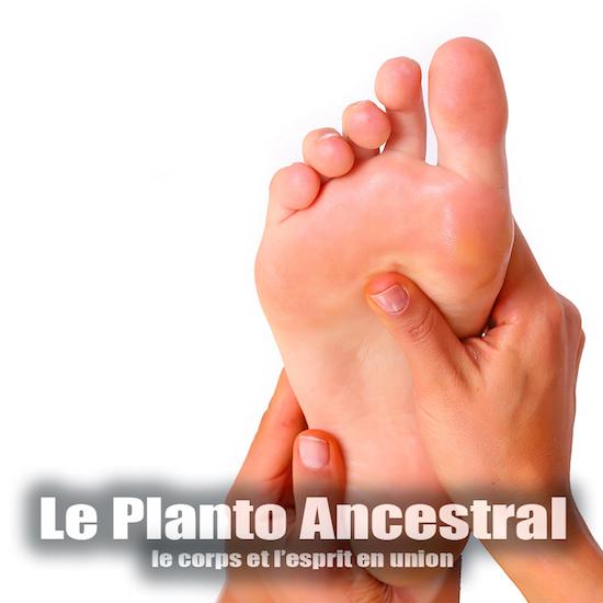 le-planto-ancestral-small-feature