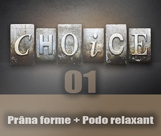 the-choice01_mini