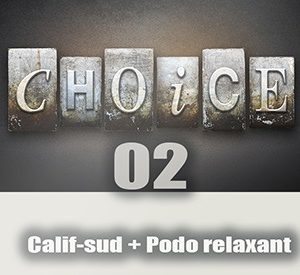 the-choice02_mini